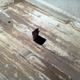 (I don’t know why I bothered to measure and cut such a tidy access door. The old bed is scrap metal anyway.)